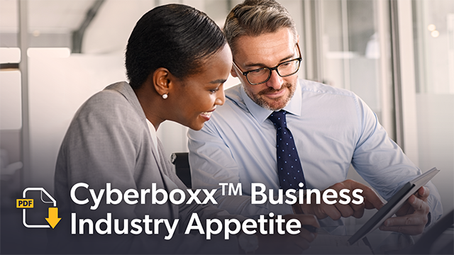 Cyberboxx Business Industry Appetite